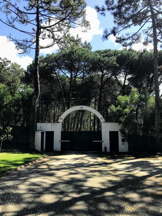 Villa Colares Sintra Eksteriør billede