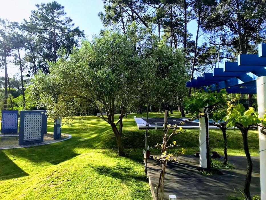 Villa Colares Sintra Eksteriør billede